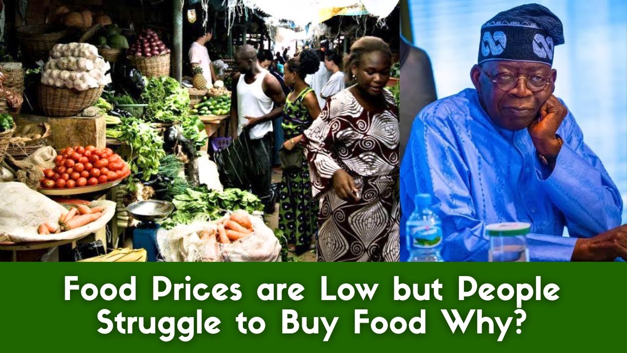 SHOCKING: Food Prices are Low but People Struggle to Buy Food Why? | LJE Voxpop