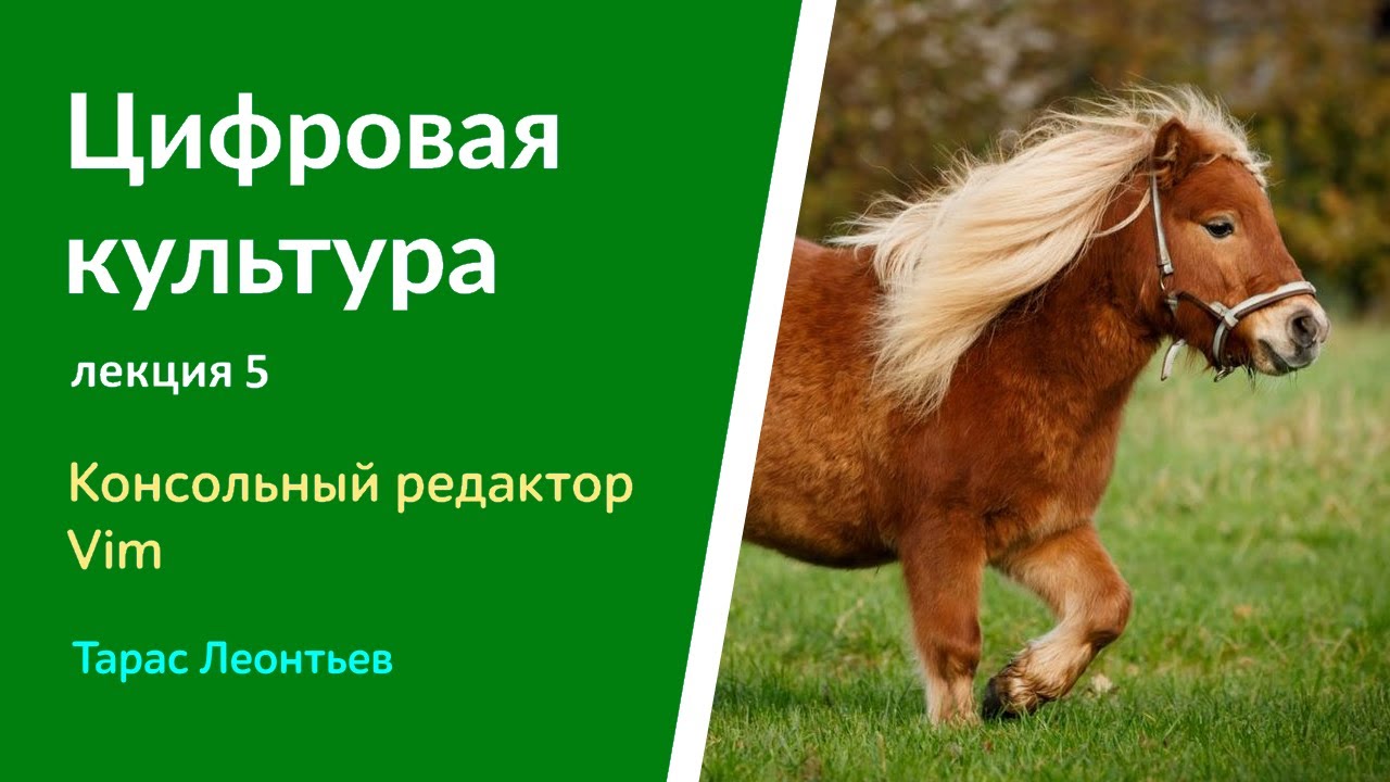 Цифровая культура - y2022 л5 - Тарас Леонтьев - Консольный редактор Vim