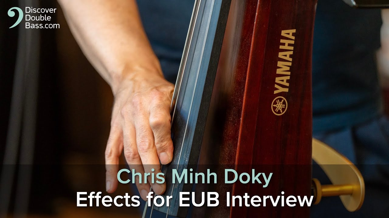 Effects for Upright Bass with Chris Minh Doky + Jaco tribute performance