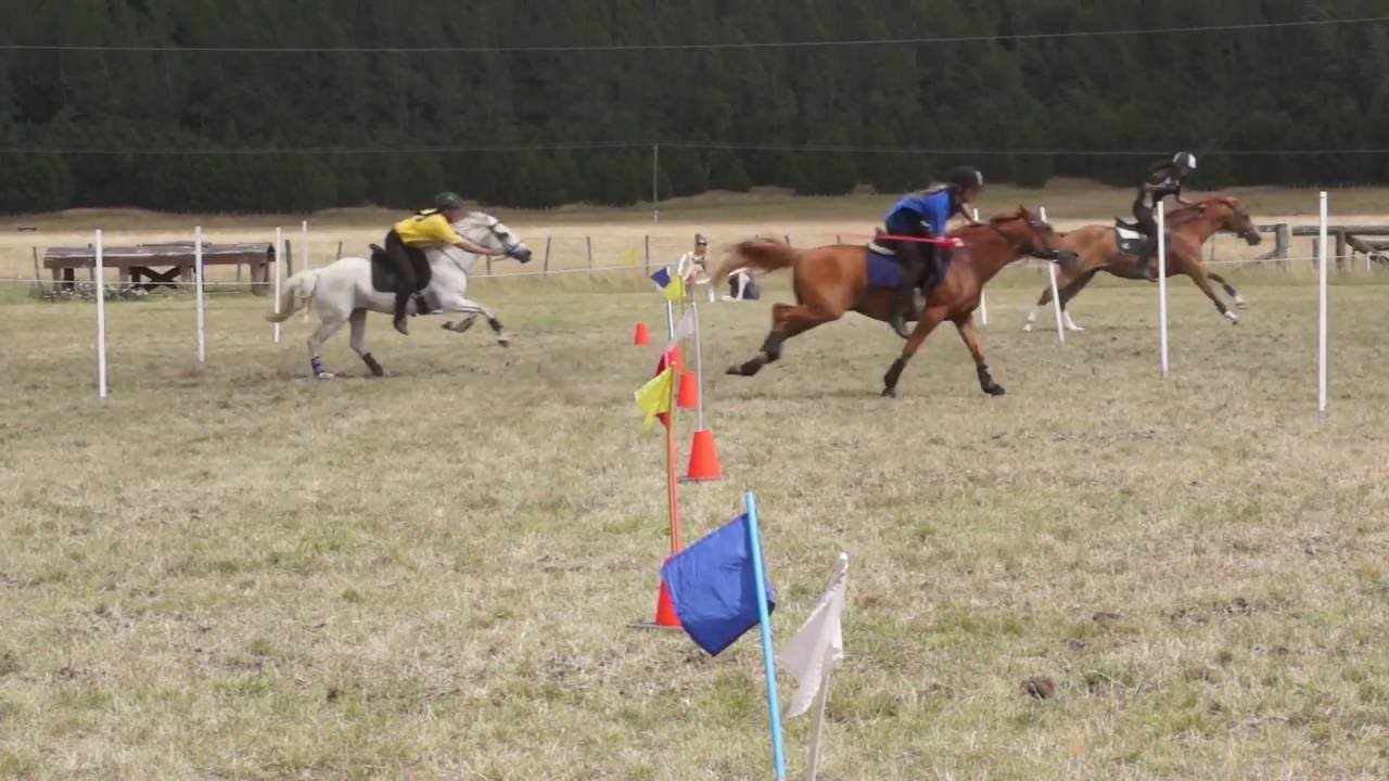 NZ Mounted Games 2013