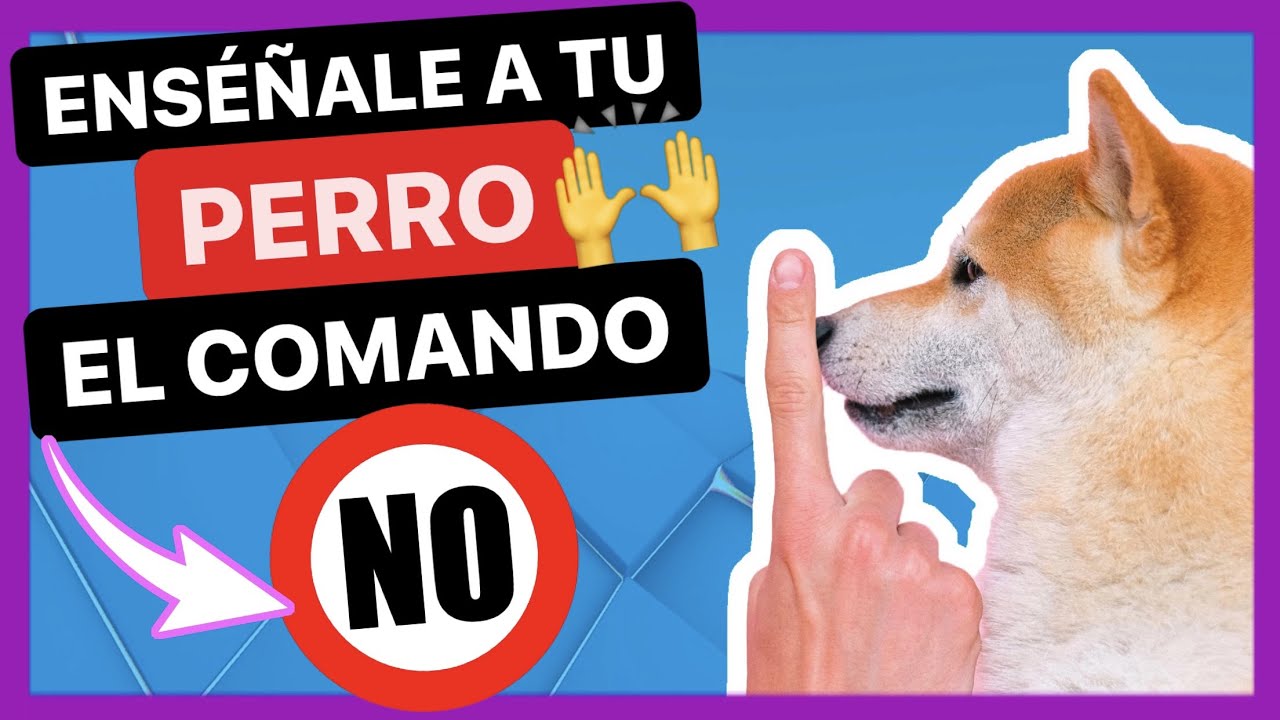 El MEJOR TRUCO para ENSE&Ntilde;ARLE el COMANDO 
