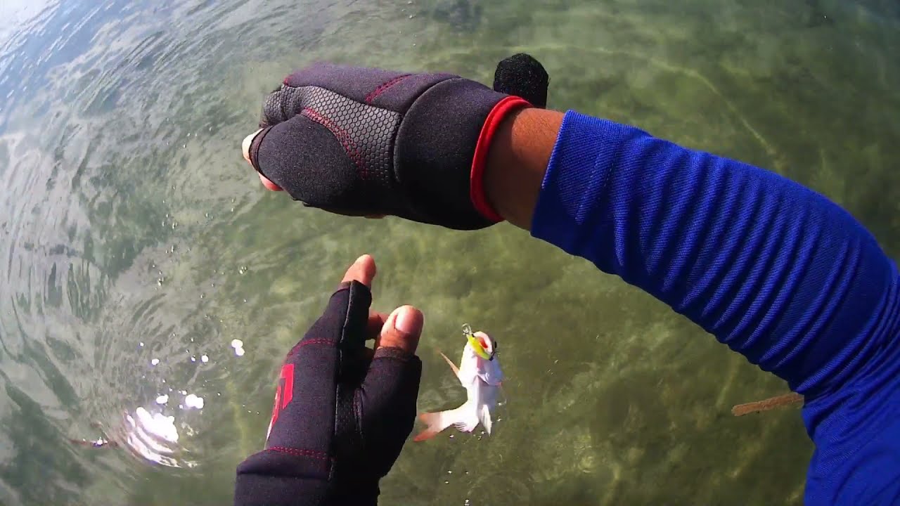 Family Bonding | Fishing | Birthday Celebration | Catch And Cook #Shorecasting #AnglerPh