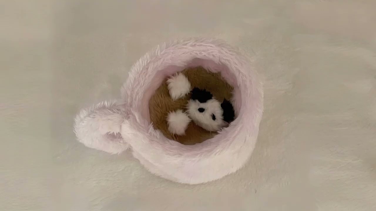 다정한 사람이 이겨요 *⑅୨୧* | 가사없는 플레이리스트 [𝐏𝐥𝐚𝐲𝐥𝐢𝐬𝐭]