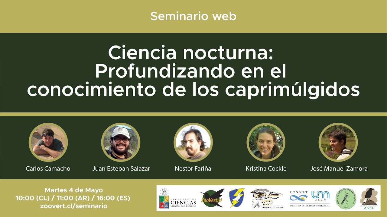 Seminario Ciencia Nocturna - Mesa redonda - Perspectivas en el estudio de los caprimúlgidos