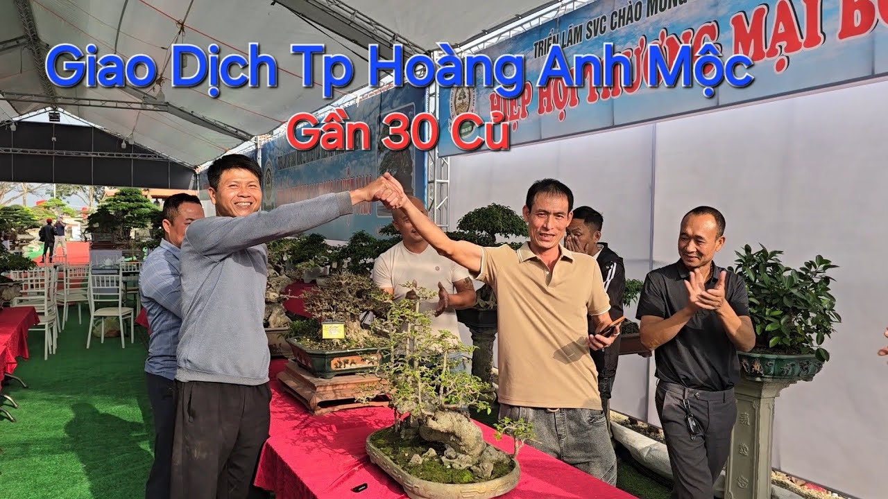 GIAO DỊCH TP HOÀNG ANH MỘC với giá GẦN 30 TR tại TL Triệu Việt Vương - Hưng Yên 2026 .