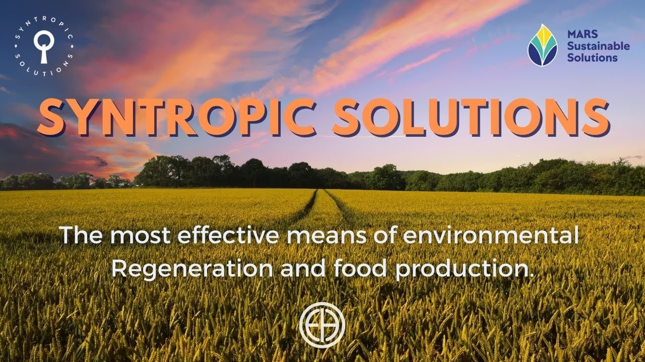 Syntropic Solutions with Thiago Barbosa