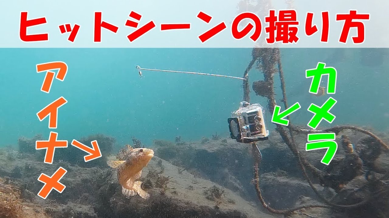 【水中撮影】ヒットシーンの撮り方（カメラでカメラを撮影）