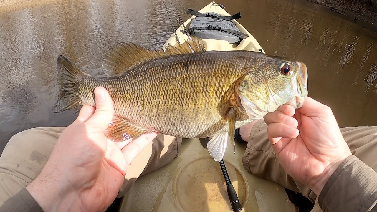 Georgia Suwannee Bass | Part 2