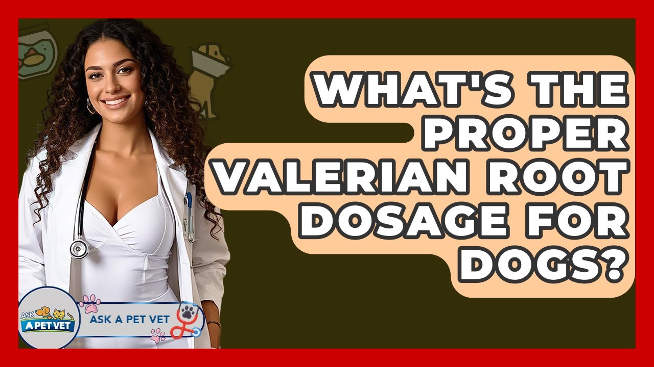 What's The Proper Valerian Root Dosage For Dogs? - Ask A Pet Vet