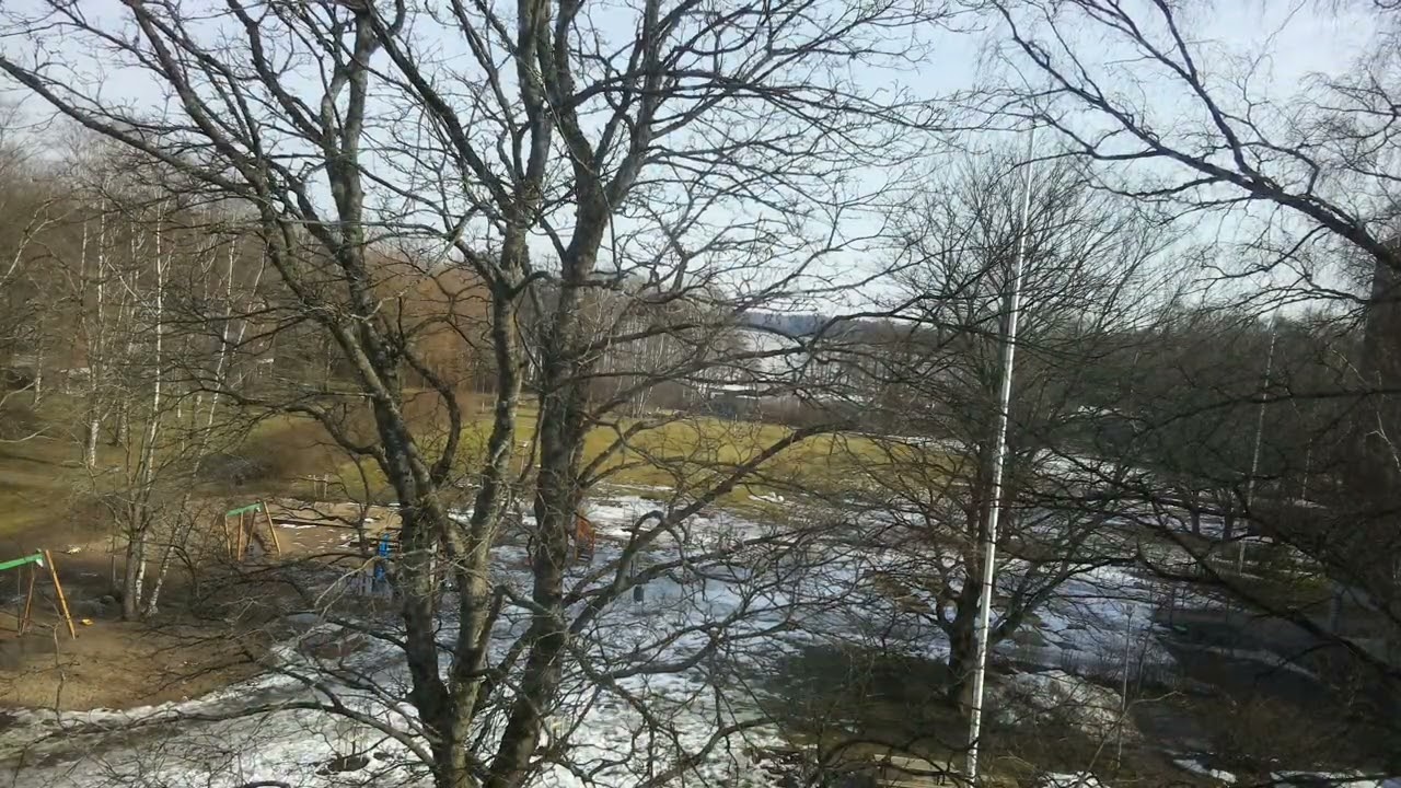 Daily Timelapse Pi0Cam 2026-03-14