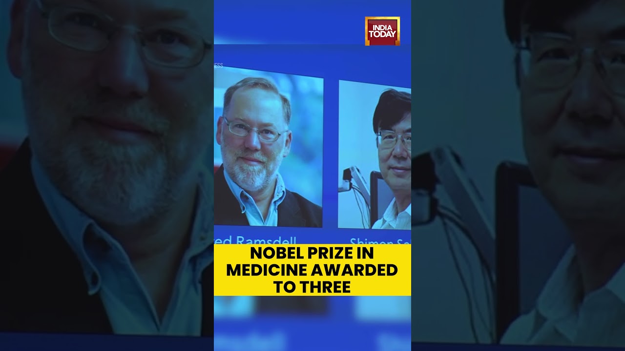 Three Scientists Awarded 2025 Nobel Prize in Medicine for Groundbreaking Discovery