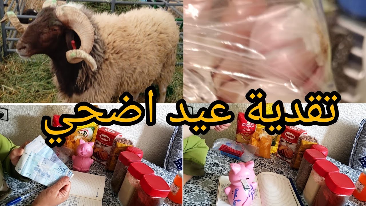 تحدي1000درهم عيد اضحي لإحة  تقدية 💥 تعرفي لي ليك ولي عليك  جربي وحكمي