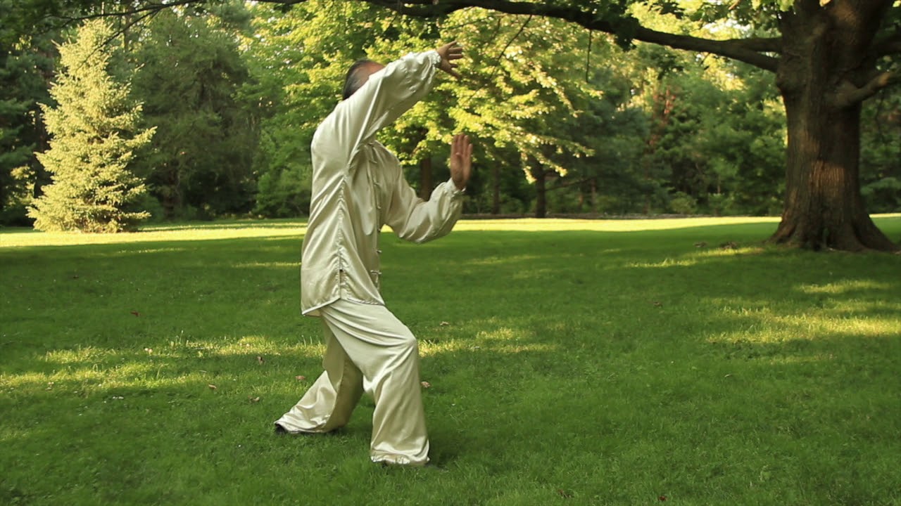 Tai Chi Yang Style - Front views