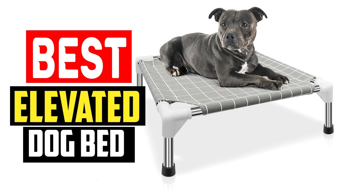 ✅Top 5  Best Elevated Dog Bed in 2025