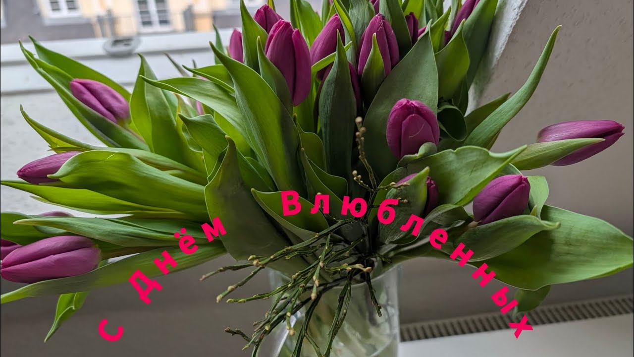 С Днём ВЛЮБЛЁННЫХ//Обзор ПОКУПОК