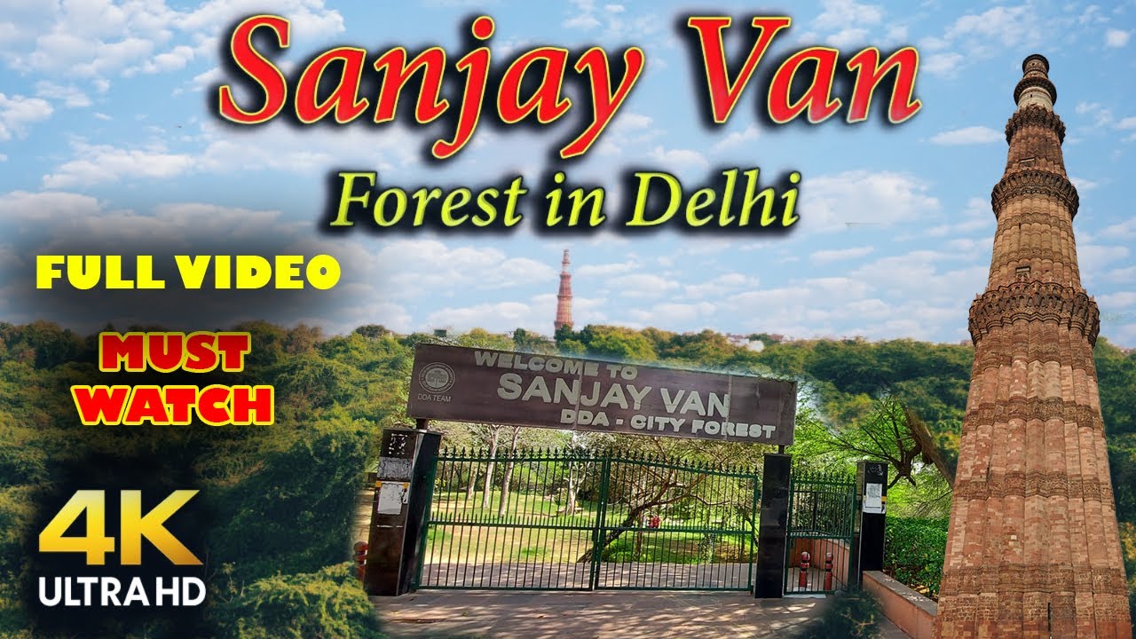 संजय वन रहस्य 🤫 | Delhi’s Nature Trail