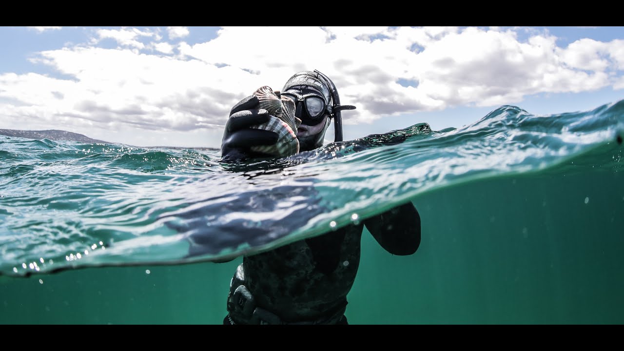 How to Freedive for Scallops