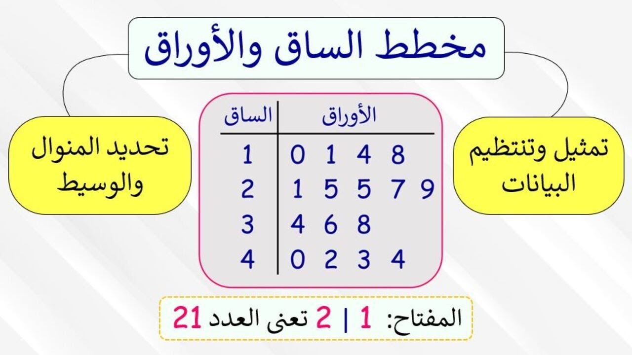 مخطط الساق والأوراق