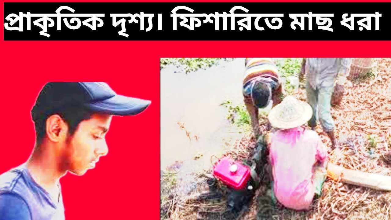 প্রাকৃতিক দৃশ্য ফিশারিতে মাছ ধরা । আরো অনেক কিছু ভিডিওতে তুলে ধরা হয়েছে । দেখুন বন্ধুরা বসে বসে।