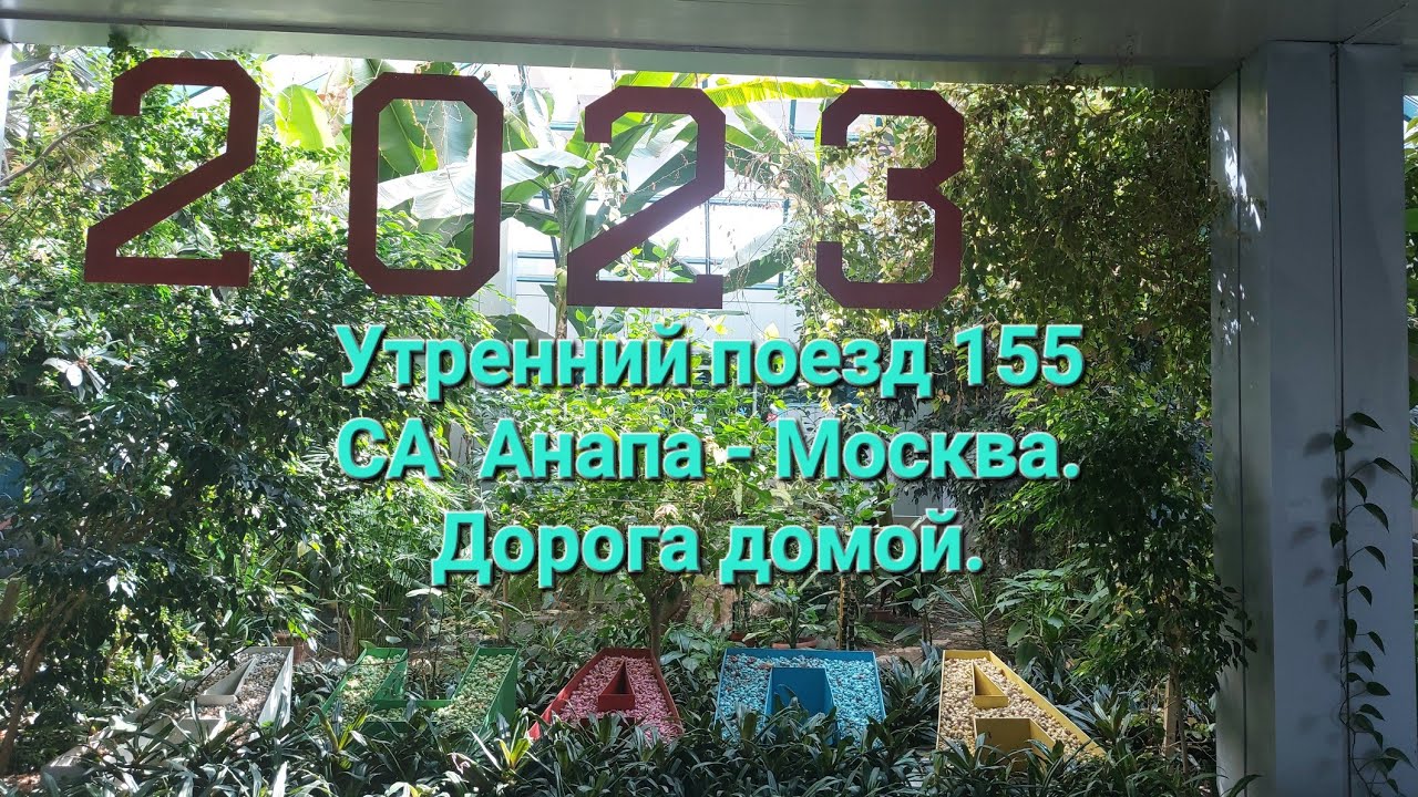Поезд 155 СА Анапа - Москва. Вагон с разрешением провоза животных. Прибытие на Казанский вокзал.