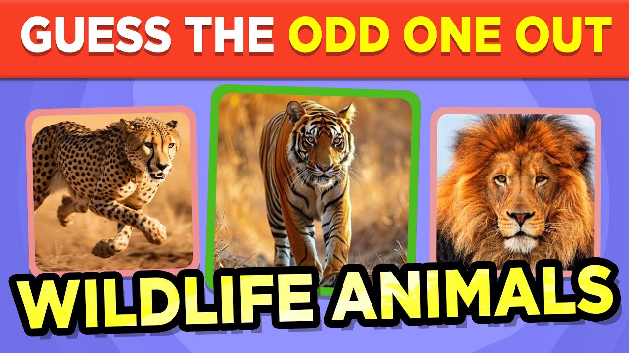 🐾 Odd One Out Animals Quiz 🧠 | Can You Spot the Difference?