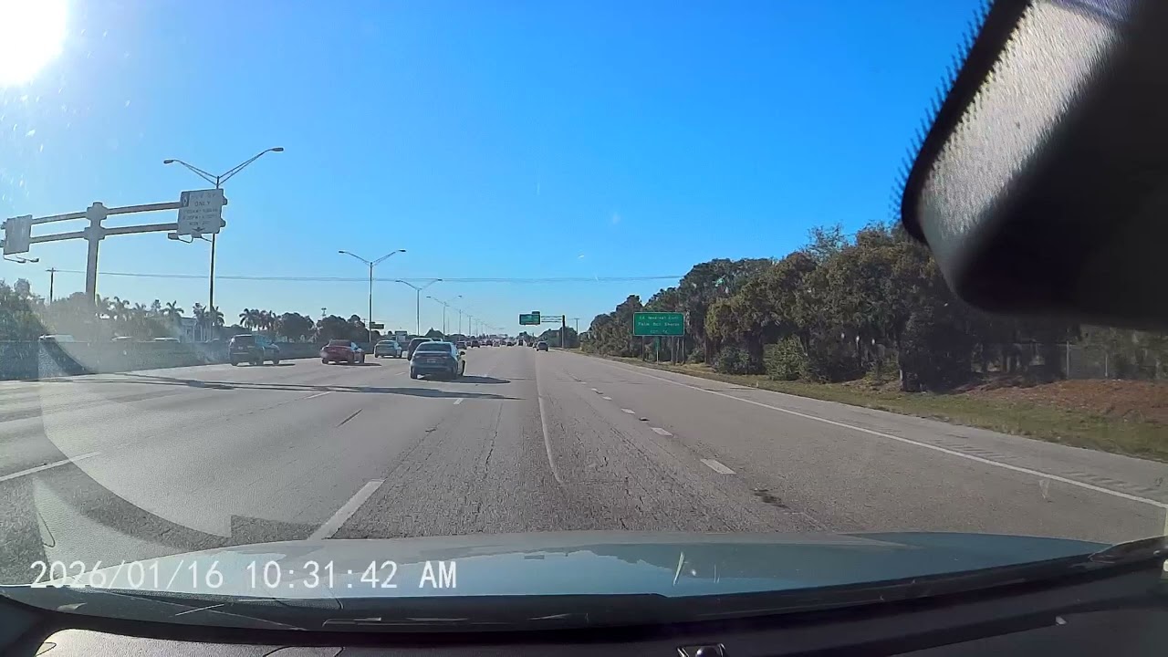 Only in Florida: The Most Unreal Highway Moment Ever Recorded