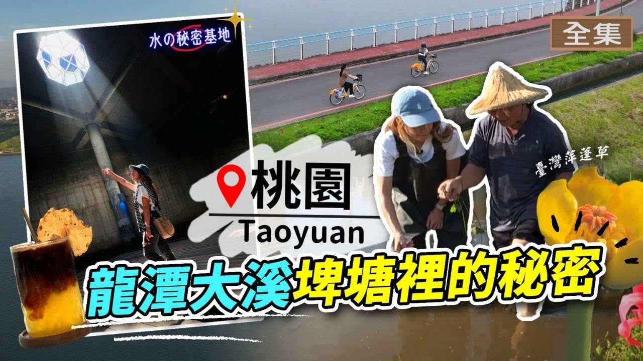 【桃園】龍潭.大溪旅遊亮點｜神祕「水の秘密基地」！華興池湖畔新開幕咖啡廳☕ 台灣特有種萍蓬草復育靠羅盤？「韭菜」絕地大反攻？｜《GoGoTaiwan》20250525 完整版