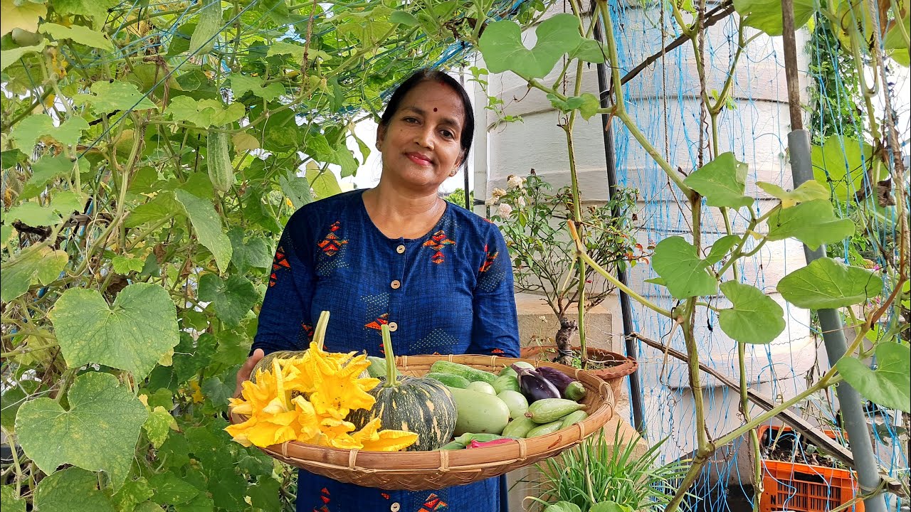 ମୋ ଛାତ ବଗିଚାରେ ବର୍ଷା ଦିନିଆ ପନିପରିବା। Rainy season vegetables farming | Garden Tour #viralvideo