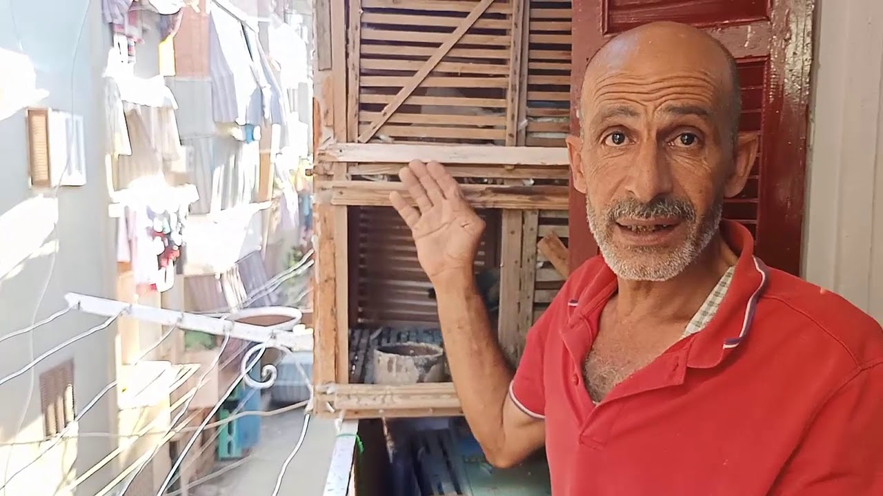 تربية الحمام  مع  