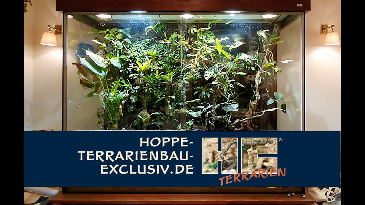 2m Paludarium für Dendrobaten und Laubfrösche