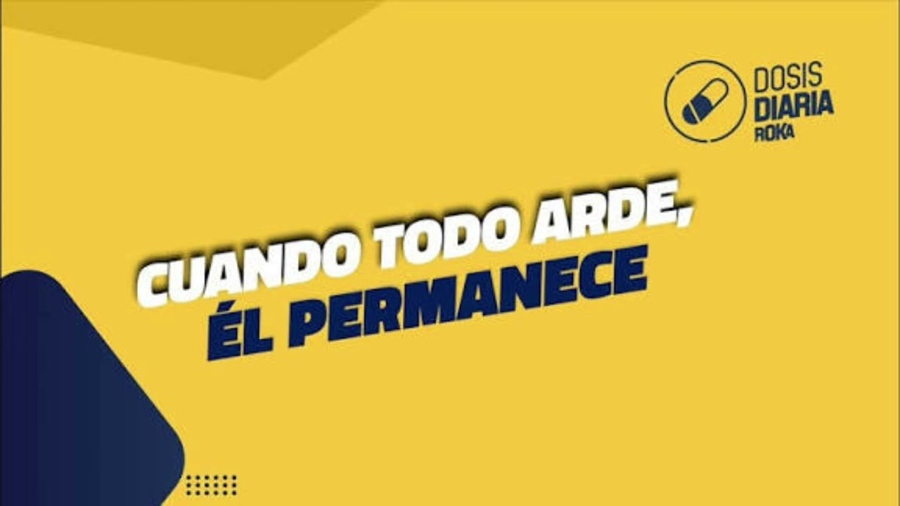 Cuando todo arte, el permanece - la dosis diaria - roka 