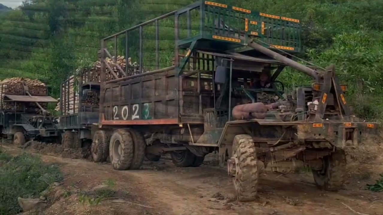When Modified Mountain Bikes Become Terrain Conquerors