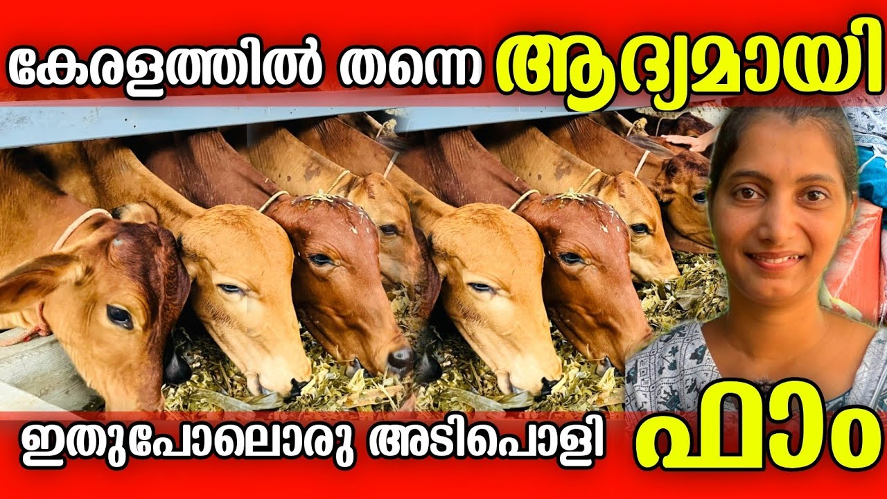ഈ ഒരു അത്ഭുതം നിങ്ങൾക്ക് ഇവിടെ മാത്രമേ കാണാൻ സാധിക്കു... കാടിനോടു ചേർന്നുള്ള ഫാം