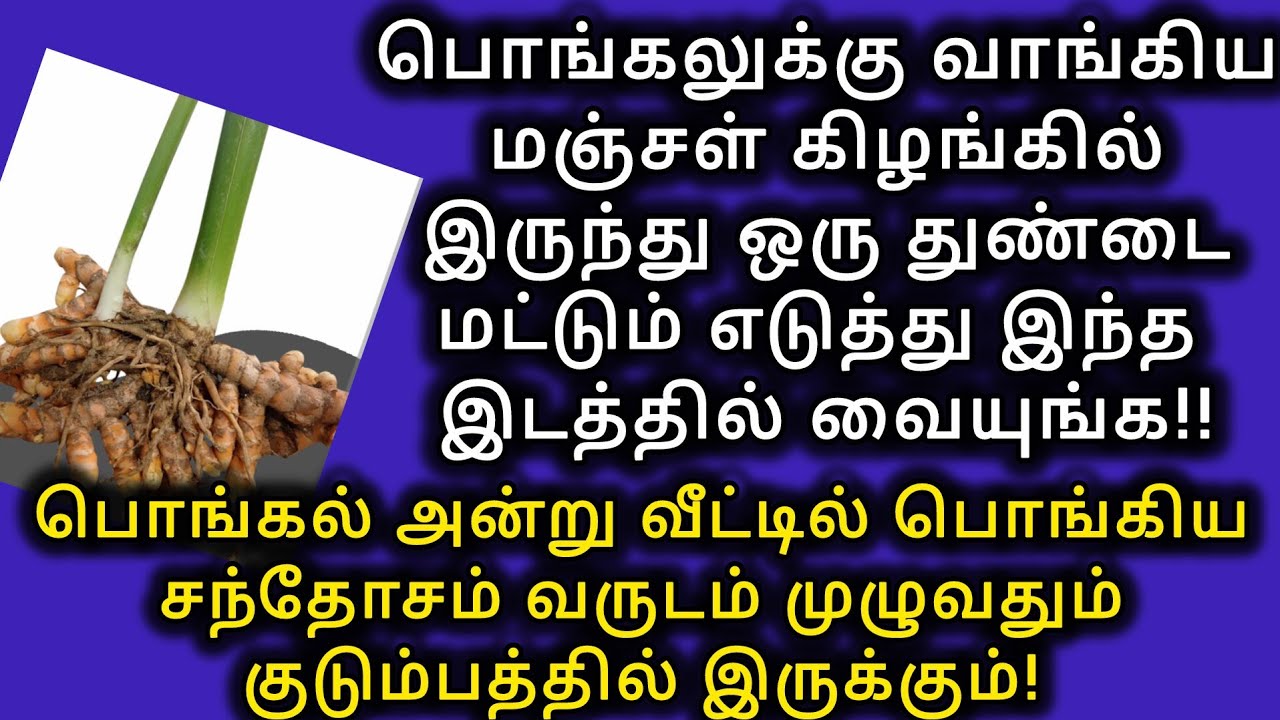 பொங்கலுக்குவாங்கியமஞ்சள்கிழங்கில் ஒருதுண்டைஎடுத்துஇந்தஇடத்தில் வையுங்கவருடம்முழுவதும்செல்வம்பெருகும்