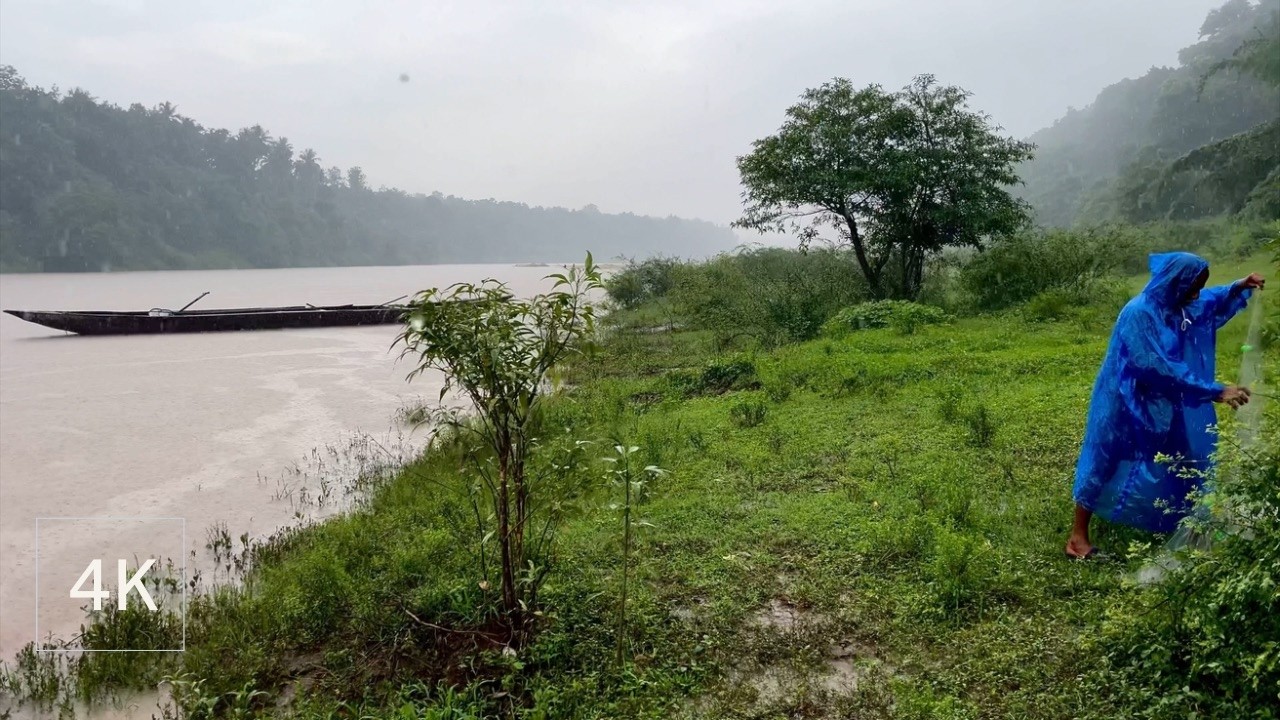 Walk in Heavy Rain near Beautiful River in Kerala | ASMR Heavy Rain Sounds for sleeping & Relax