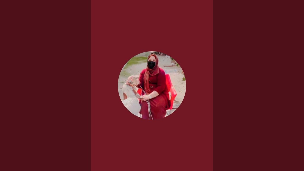 Gull Baji Vlogs is live!