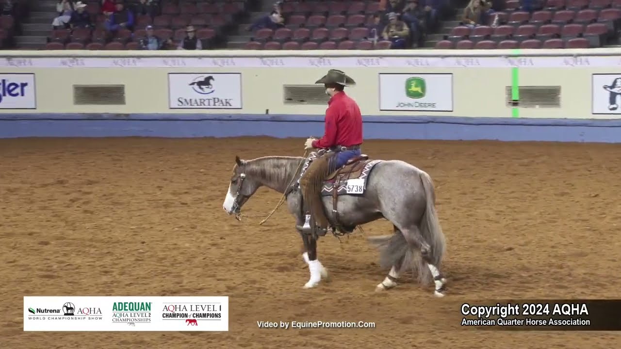 Senior Working Cow Horse - 2024 AQHA World Championship Show