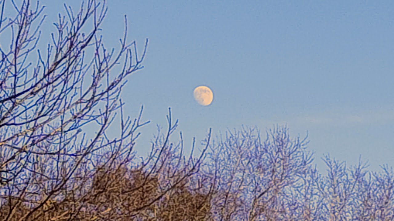 Nosso aqui (ENIA- Estupido Natural Inteligencia Artificial) #latin #romantic #musicabrasileira #ia