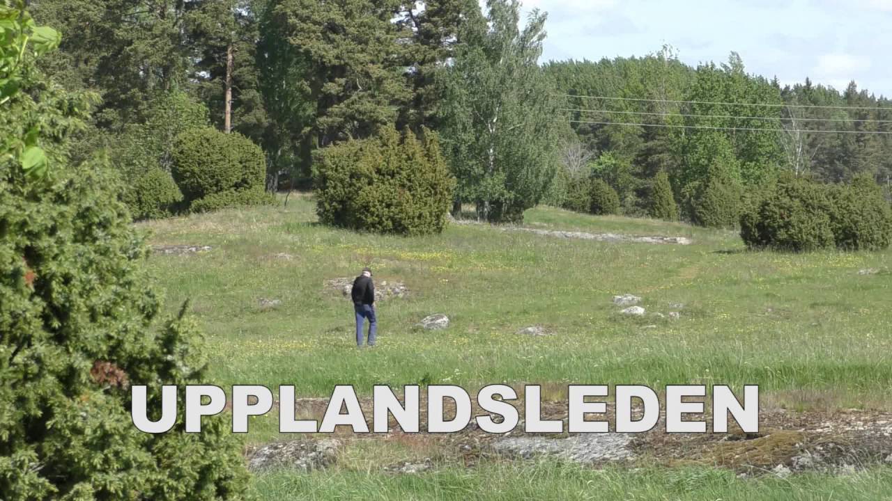 H&auml;llristningar! Invigning av informationsplats i Hemsta 11 juni