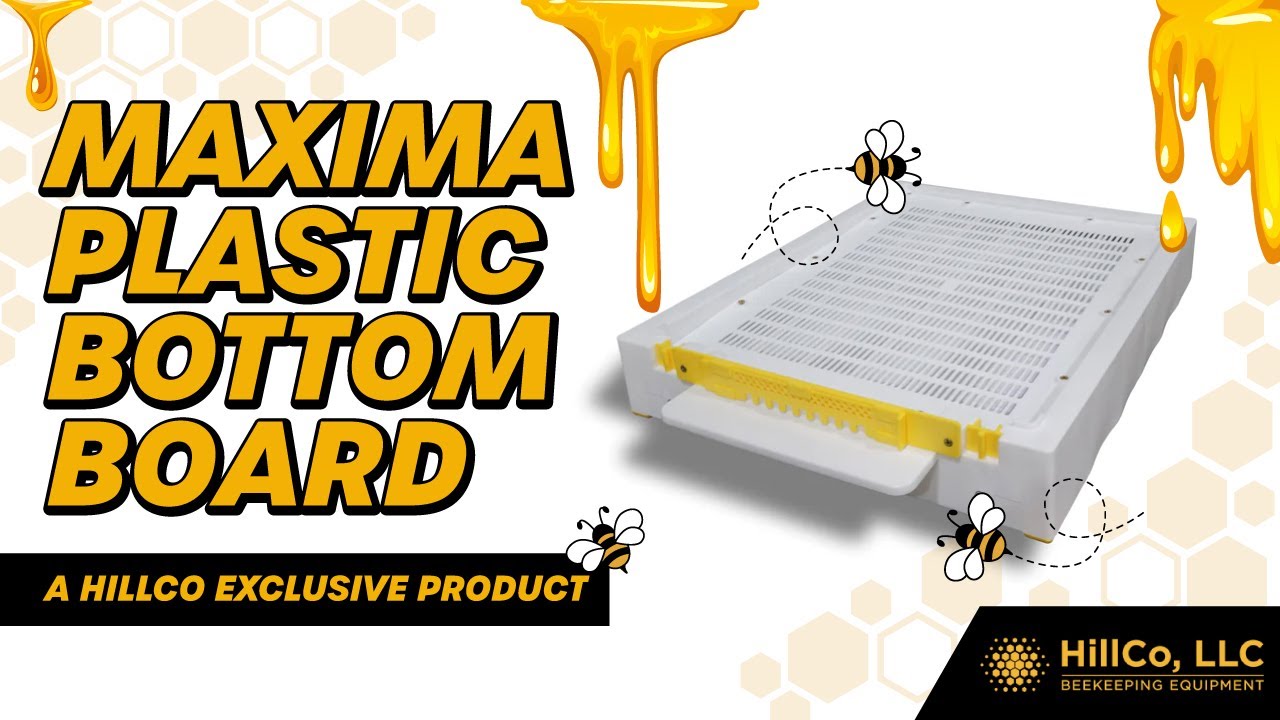 HillCo Exclusive Product: Maxima Plastic Bottom Board | HillCo, LLC