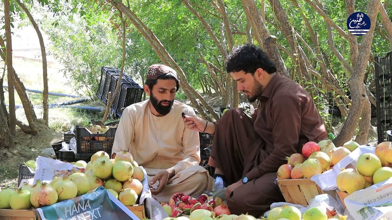 تگاب انار Anar Tagab 