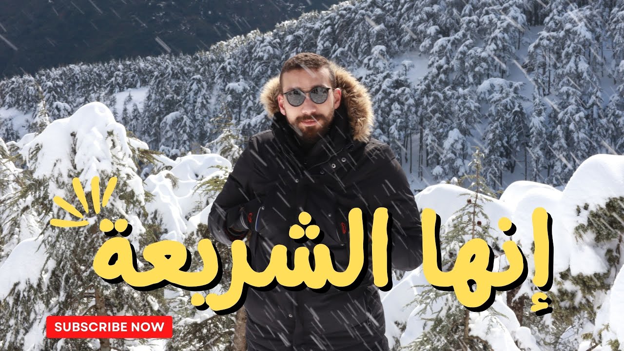 أفضل مغامرة بالشريعة 2023  | Chréa 2023, 🇩🇿  #البليدة #algeria #blida #Chréa #شريعة #chrea #Chrea