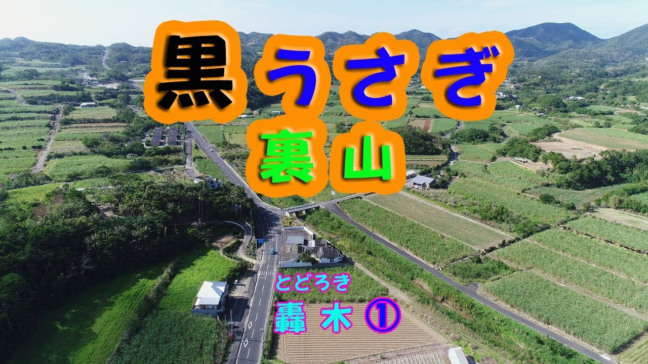 空撮：徳之島町轟木➀／黒うさぎ／ドローン／世界自然遺産登録候補地／徳之島黒組／アマミノクロウサギ