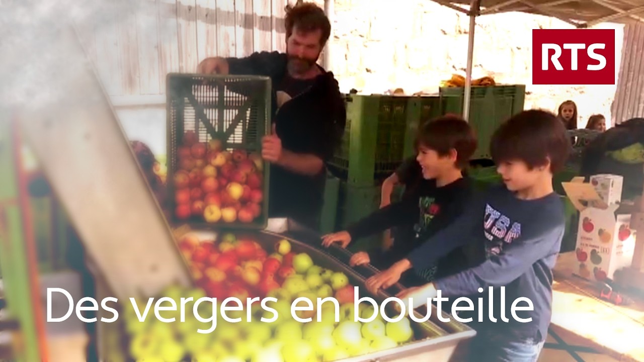 Dans ce pressoir communal on fait du jus avec les fruits des particuliers