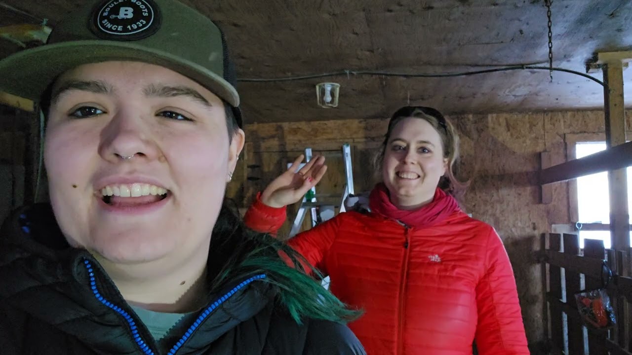 Vlog #3 ménage de l ecurie part.2