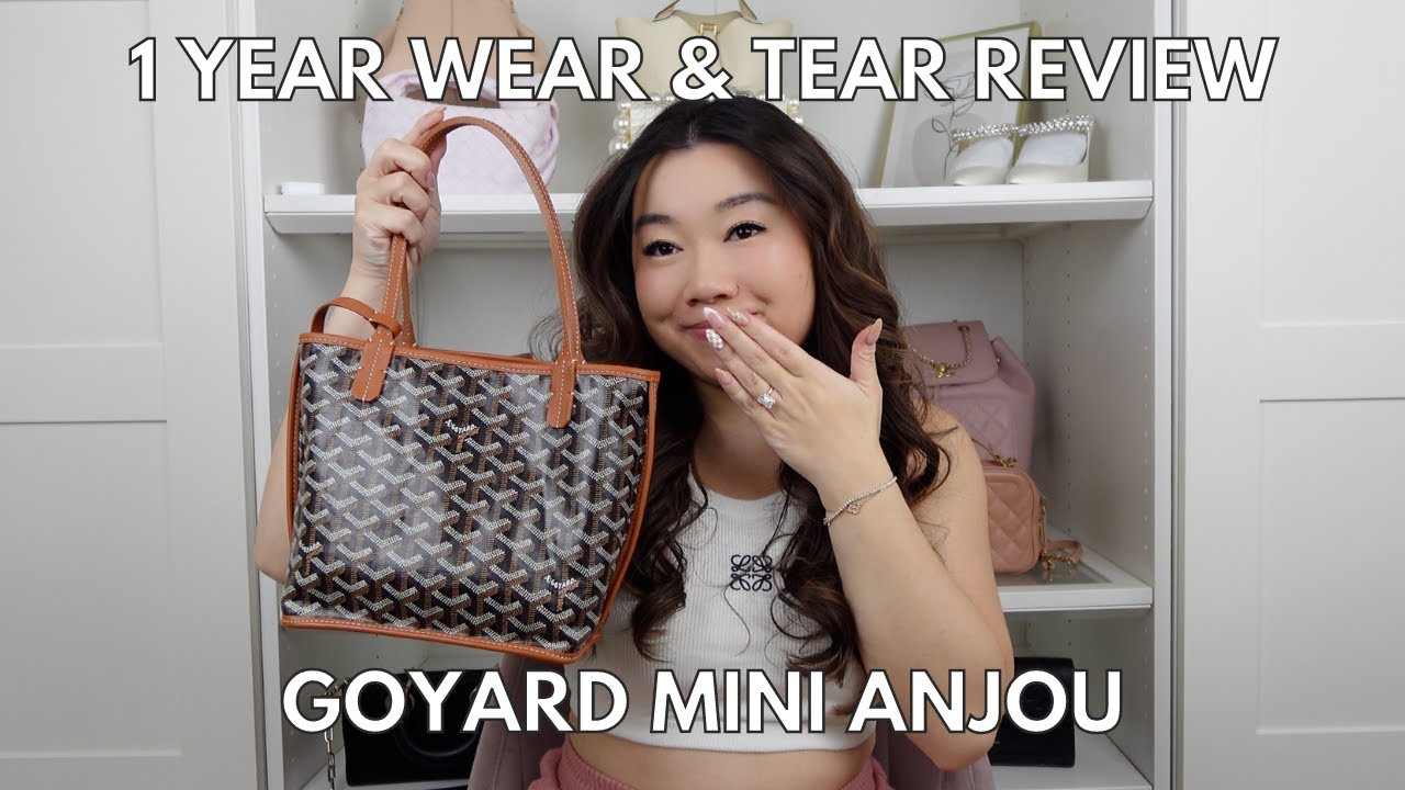 ОБЗОР ЗА 1 ГОД: GOYARD MINI ANJOU | НЕ СЛИШКОМ ЛИ МОДНЫЙ??