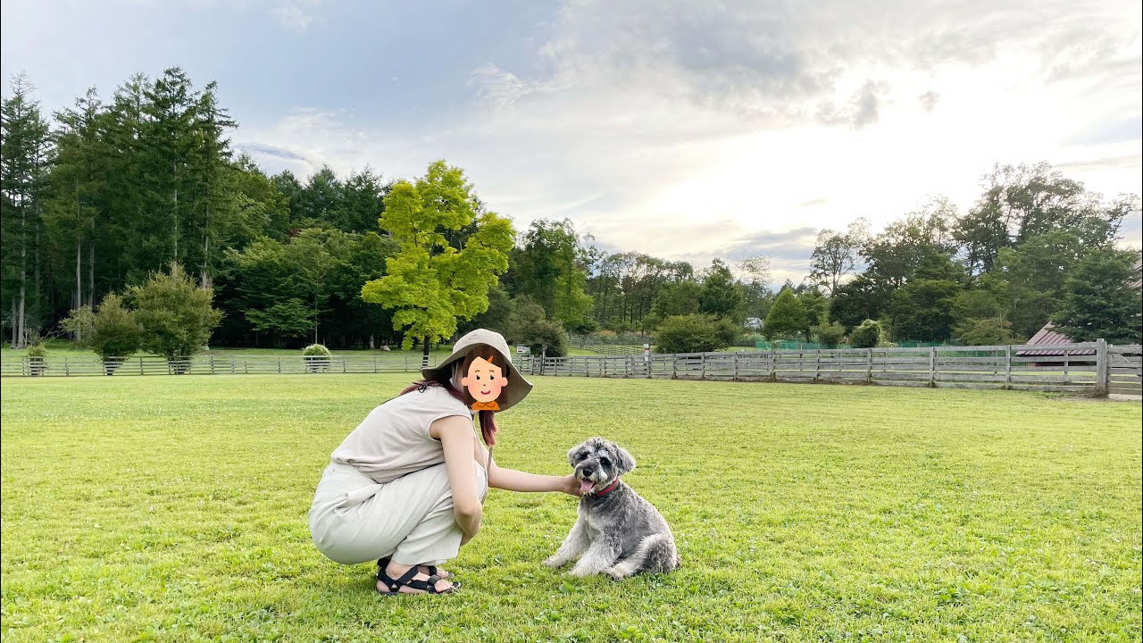 犬の天国!? 今まで見たことない広さのドッグラン体験【ミニチュアシュナウザーのコアラ】