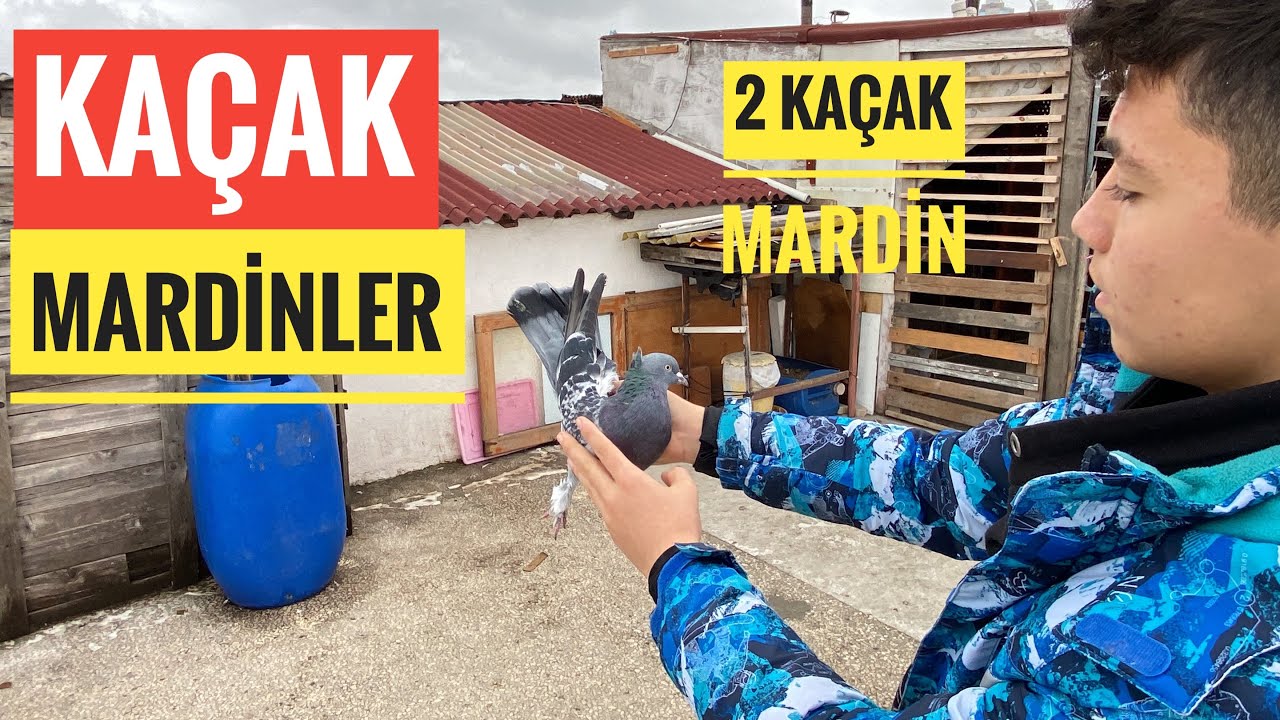 AYLAR SONRA BANGO KÜMESİNE GİTTİK KAÇAK YAĞMURU BAŞLADI EFSANE KAÇAKLAR GELDİ UTKU SHOW YAPTI
