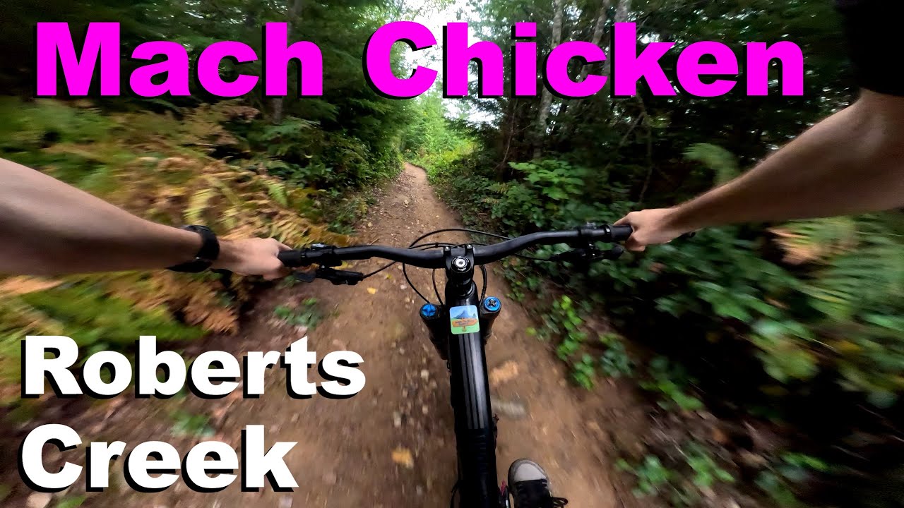 Mach Chicken - Roberts Creek 2024