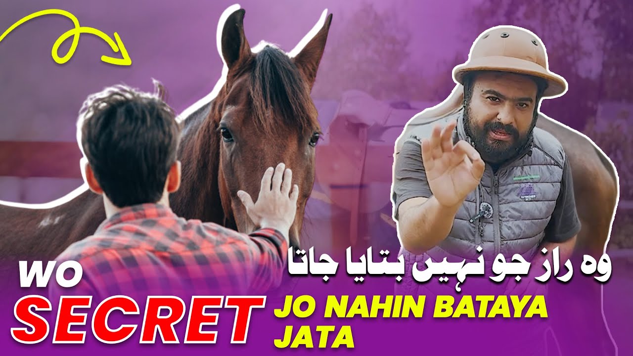 Wo secret jo nahin bataya jata وہ راز جو نہیں بتایا جاتا | Full Video #horse #horseriding